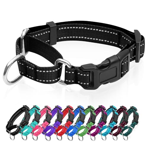 GDLKPS Animal Collar in XS:3/4" Wide for 11.5"-13.5" Neck, Black