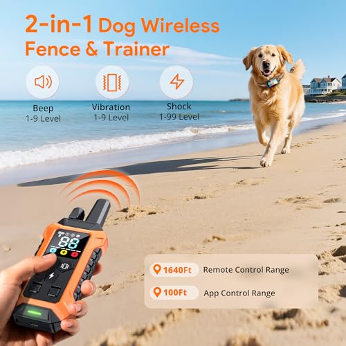 Meowant Animal Collar in Medium/Large, Orange