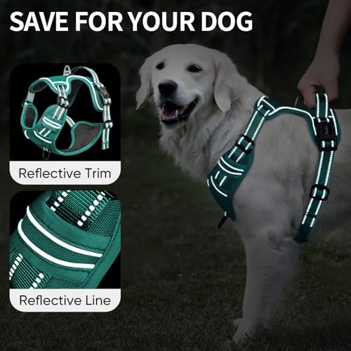 HEELE Animal Harness in S, Grass Green
