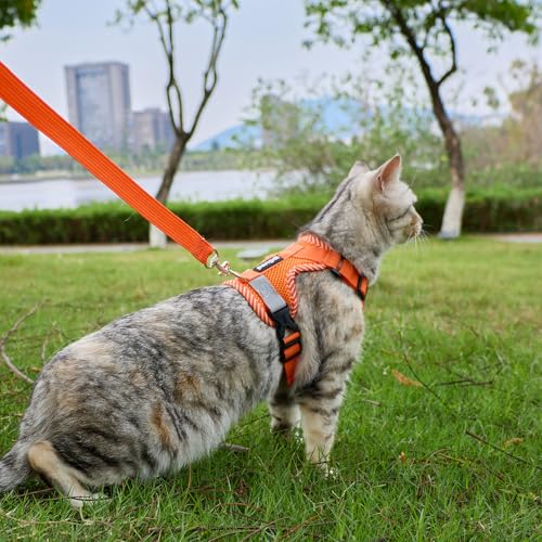 pangdi Pet Supplies in Small, Orange