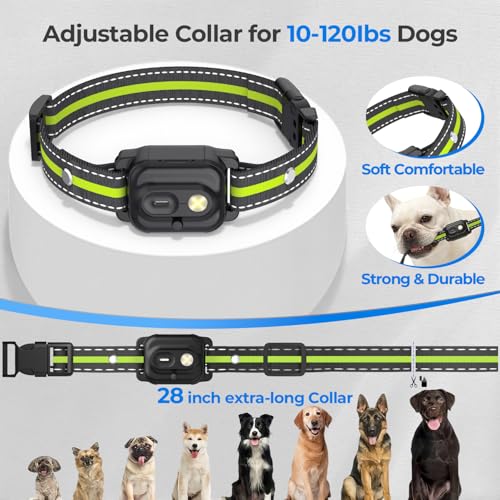 RPZ Animal Collar in 1 Receiver, Green