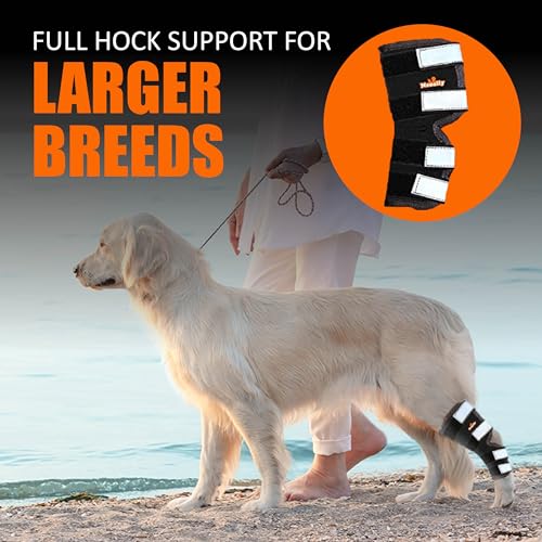 NeoAlly Pet Supplies in X-Small, Black