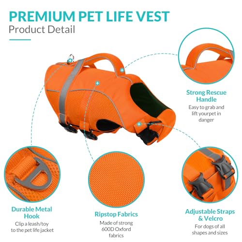 Queenmore Pet Apparel in X-Small, Orange