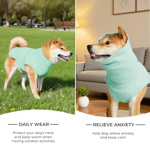 Haloumoning Pet Apparel in X-Small, Mint Green