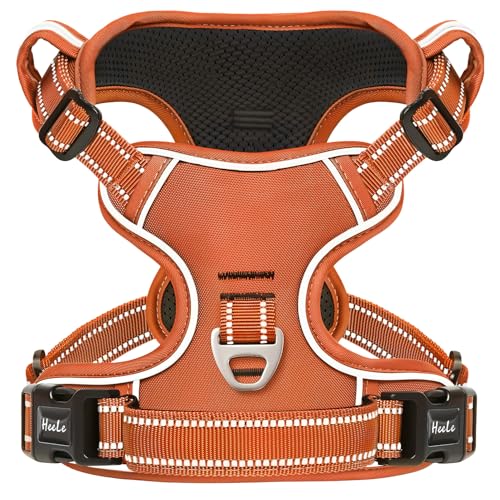 HEELE Animal Harness in S, Pumpkin Orange