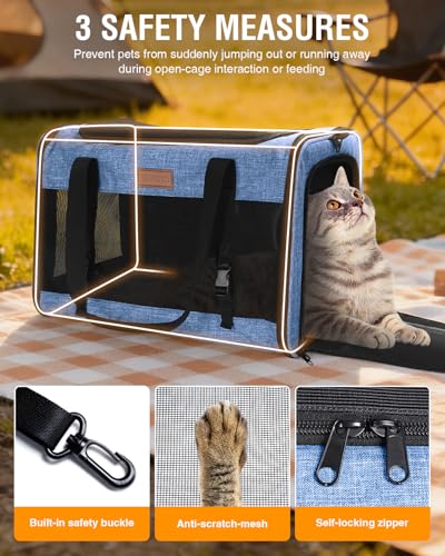 Petux Animal Carrier in 20.0"L x 13.0"W x 13.0"H, Blue