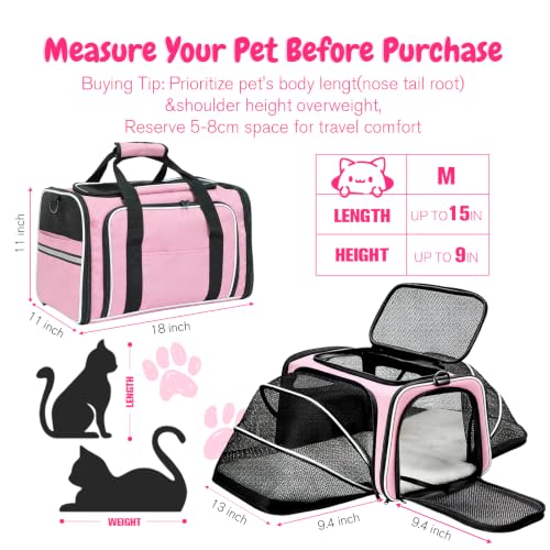 Srinlon ㅤ Animal Carrier in 18.0"L x 11.0"W x 11.0"H, Pink