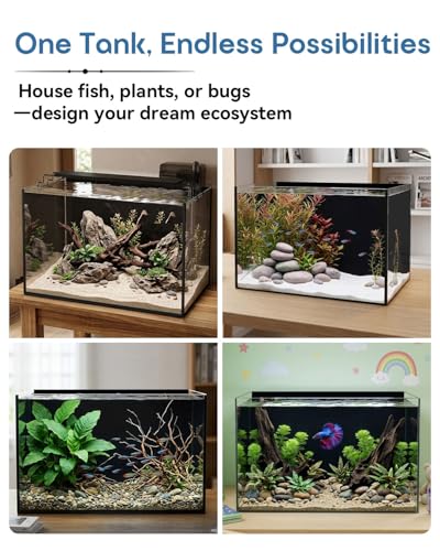 minilake Vivarium in 10 Gallon, Black