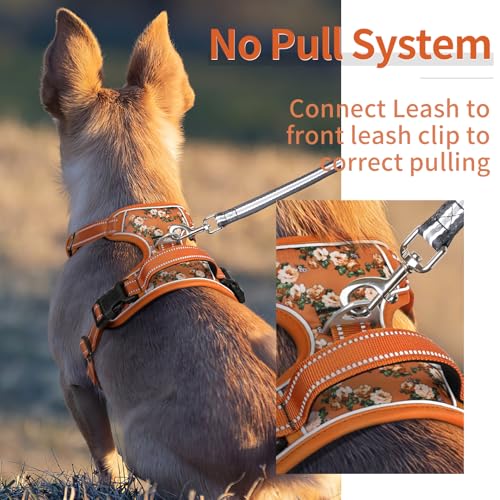 HEELE Animal Harness in XS, Flower-Orange