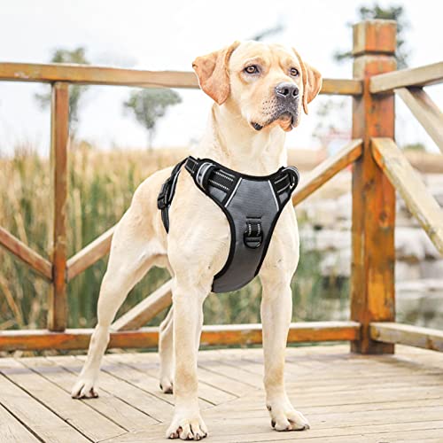 HEELE Animal Harness in L, Grey
