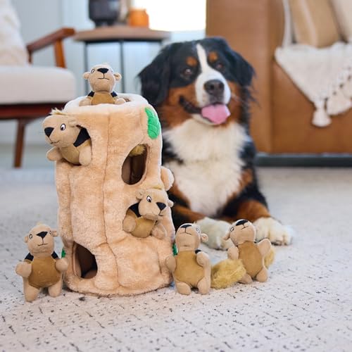 Outward Hound Pet Toy in X Large (Pack of 1), Squirrel Xlarge