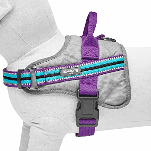 Blueberry Pet Animal Harness in Medium, Blue-gray and Olive