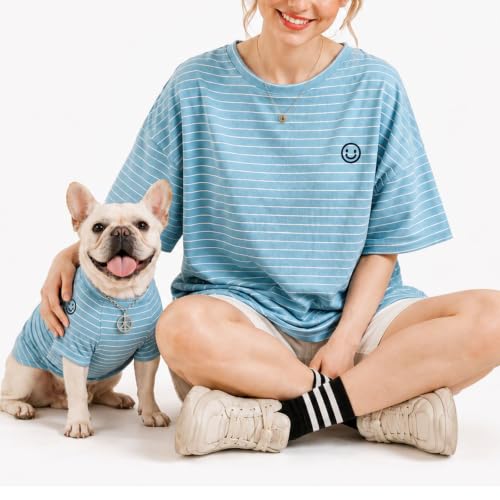 Wiz BBQT Pet Apparel in Pet XS - Chest 11.8", Blue