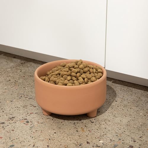 Waggo Pet Feeder in Small, Clay