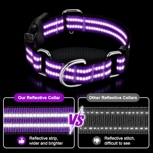 Hikiko Animal Collar in X-Small, Purple