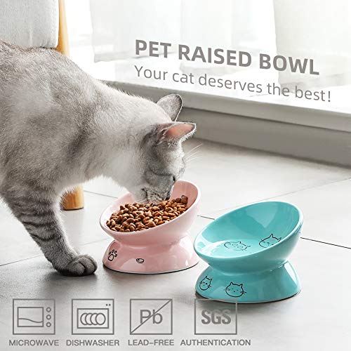Sweejar Home Pet Feeder in 147ml, Turquoise