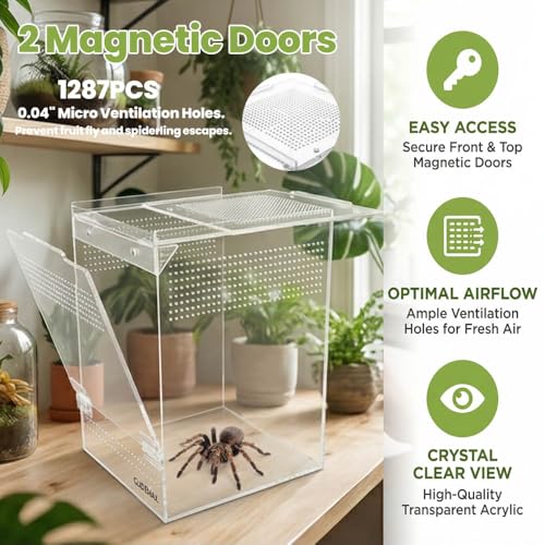 GlideMax Vivarium in 6x6x9inch, Clear