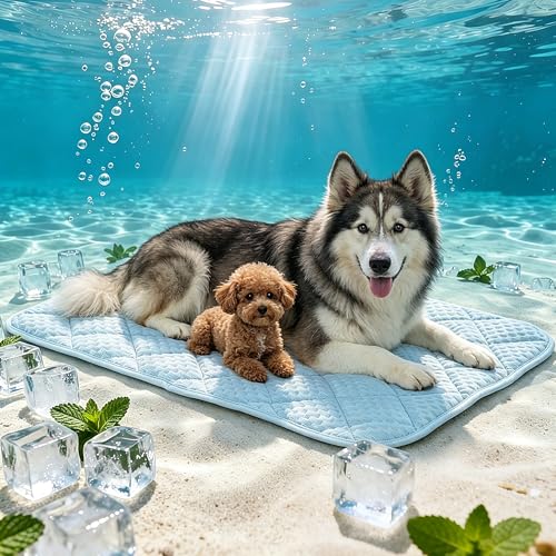 Petvolve Pet Bed Mat in XX-Large - 51 x 37.5 Inch, Sky Blue