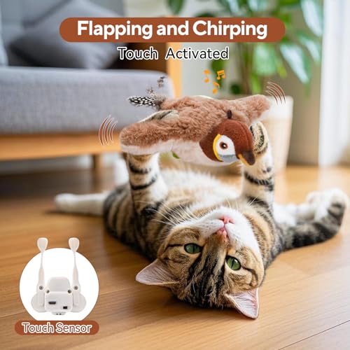 AUSCAT Pet Toy in 3 Colors-CA