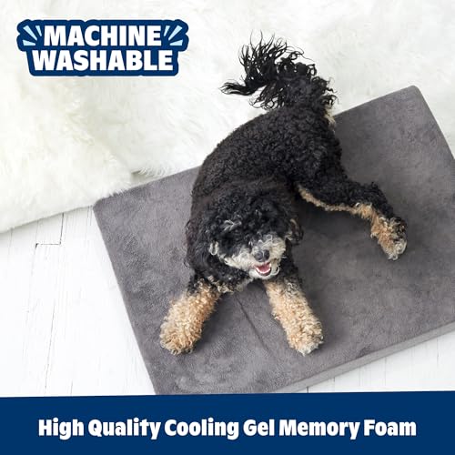 BarkBox Pet Bed Mat in XX-Large, Grey