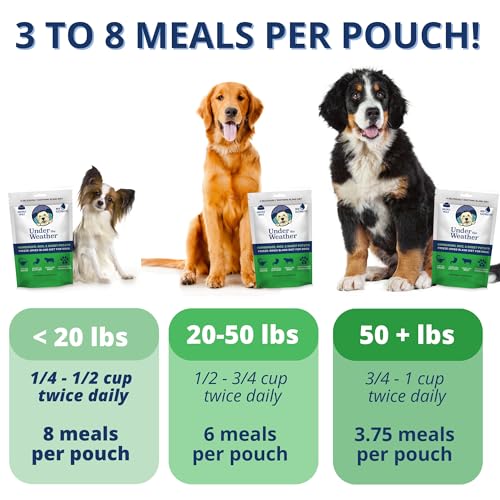 Under the Weather Pet Food in 6 Ounce (Pack of 1)
