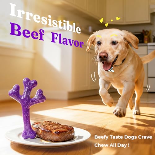 Frienhund Pet Toy in 3 Pack, Deep purple-3-Pack