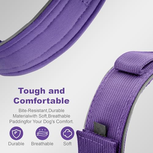 YaoTya Animal Collar in M(15"-18.5"), Purple