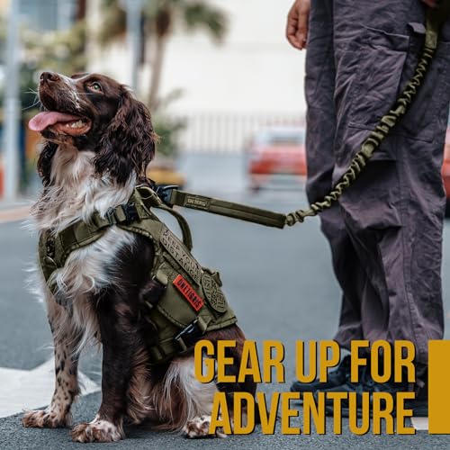 ONETIGRIS Leash in 85cm-118cm/33.5in-46.5in, Green