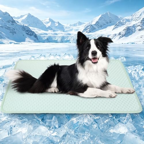 SOMOYA Pet Bed Mat in Large (27.5x39.3 IN), Green