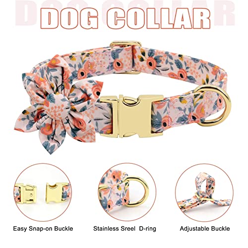 Beirui Animal Harness in S:Fit 12-20 lbs, Orange