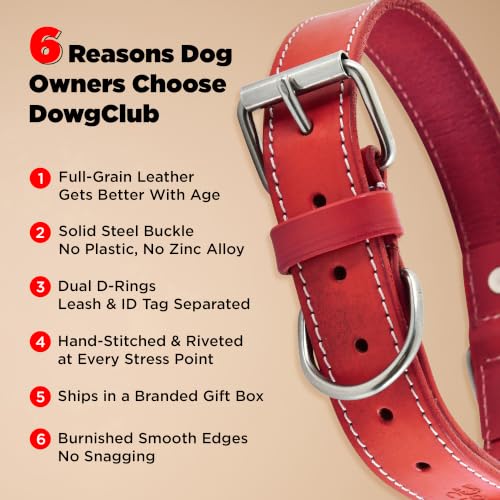 DowgClub Animal Collar in S (11"-14"), Red