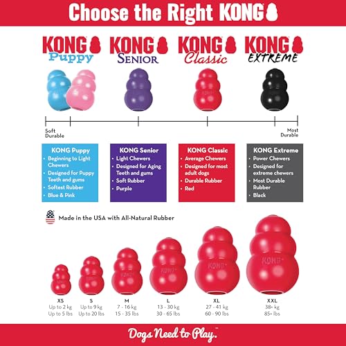 KONG Pet Toy in Small (Pack of 1), Red
