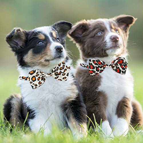 Segarty Pet Apparel in Medium, 40pcs-Various