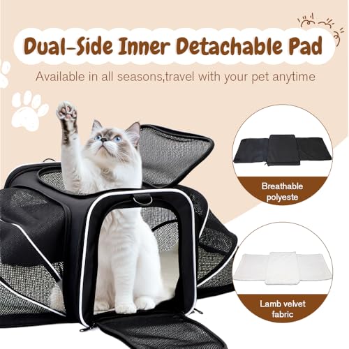 Srinlon ㅤ Animal Carrier in 18.0"L x 11.0"W x 11.0"H, Black