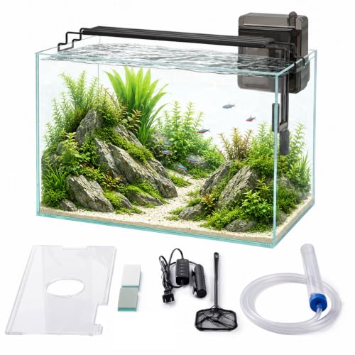 minilake Vivarium in 10 Gallon, Transparent