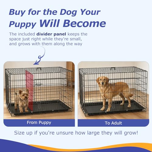 FDW Animal Cage in 48.0"L x 29.0"W x 31.0"H, Dark Black