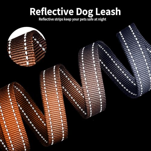 kazazoo Leash in 5.5ft to 8.5ft, Gradient Orange
