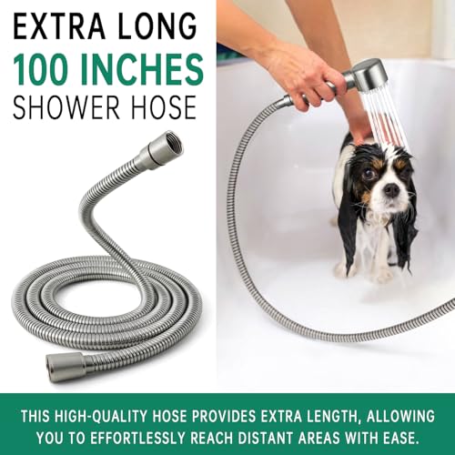 V-Frankness Showerhead in 100 Inches Hose, Brushed Nickel