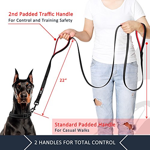 PLUTUS PET Leash in 4 FT, Black