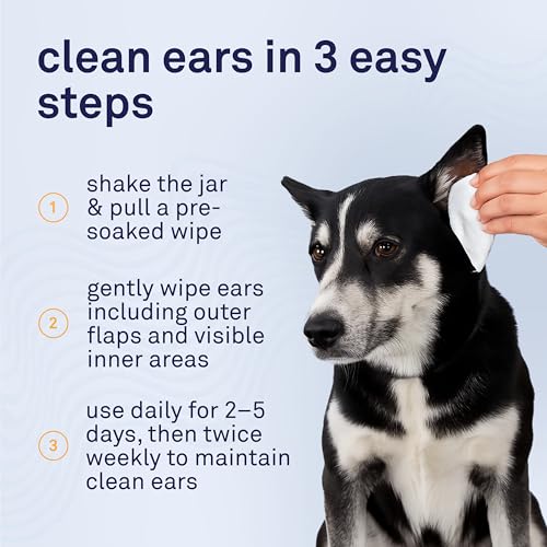 Petpost Pet Supplies in Large, Ear