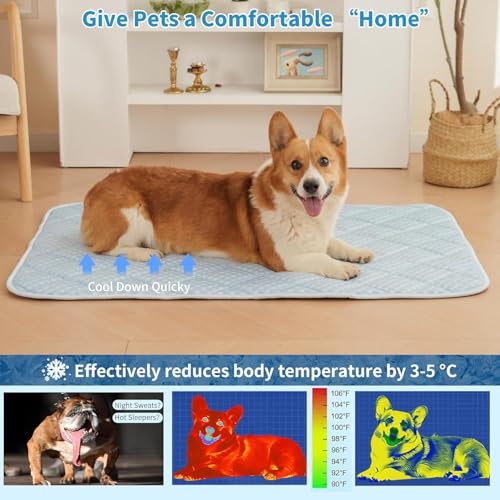Petvolve Pet Bed Mat in Small, Sky Blue