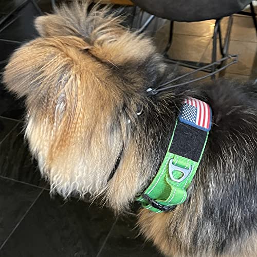 DEZIZEUSK9 Animal Collar in 16-25 INCH, NEONGREEN-COBVEL2