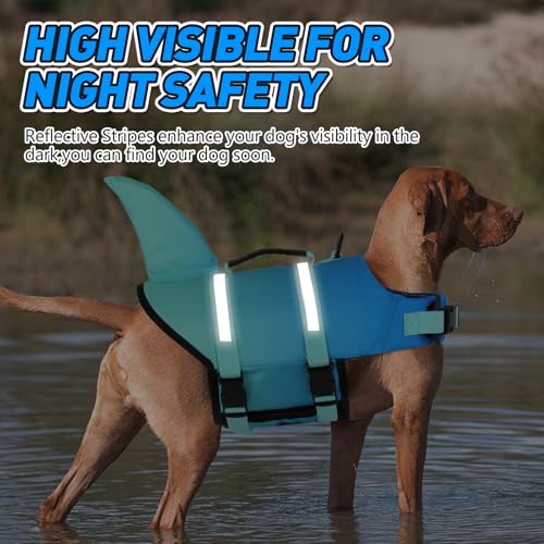 Doglay Pet Apparel in Medium, Gradient Blue