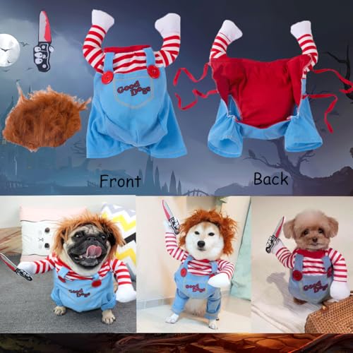 Tealots Pet Apparel in Small, Blue