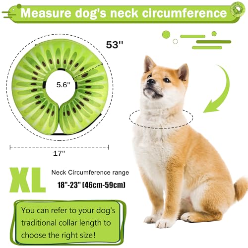 Cneo Animal Recovery Collar Cone in XL（neck 18"-23"）, Kiwi