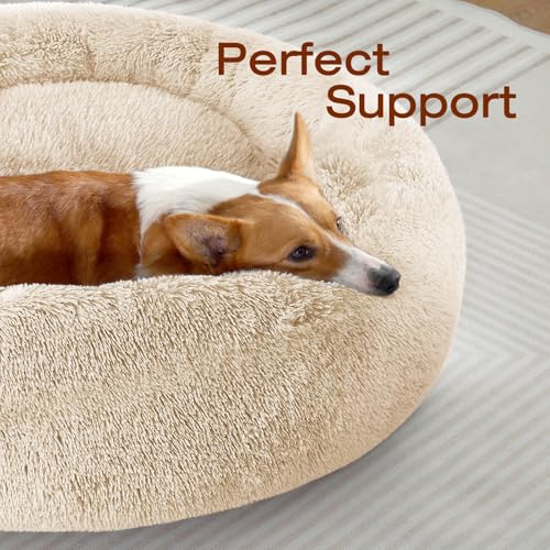 JOLLYVOGUE Pet Bed Mat in 27", Off - White