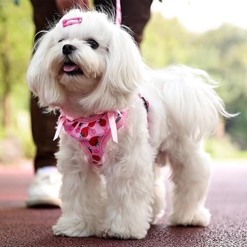 PUPTECK Animal Harness in XS (9-13lbs, Chest 14"-16"), #2 Pink(Strawberry Print)