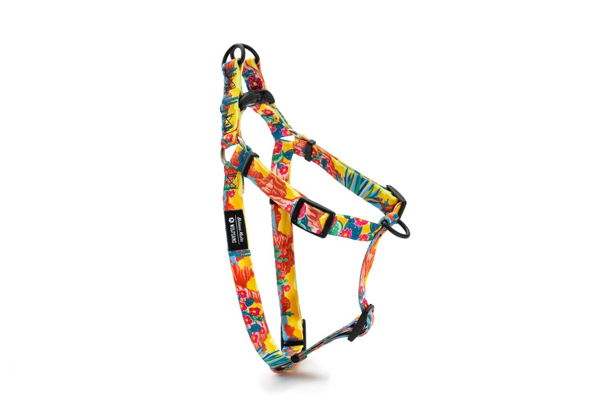 Wolfgang Man & Beast Animal Harness in Small (5/8 Inch x 12-18 Inch), PackLeader Print