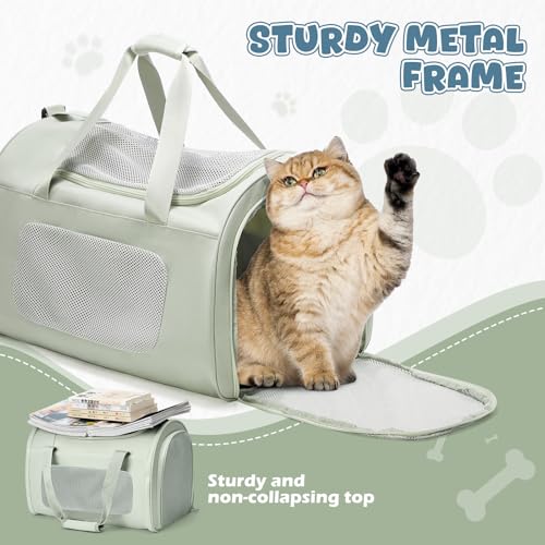 WEPLAN Animal Carrier in 17.7"L x 11.4"W x 12.5"H, A-Medium-Green