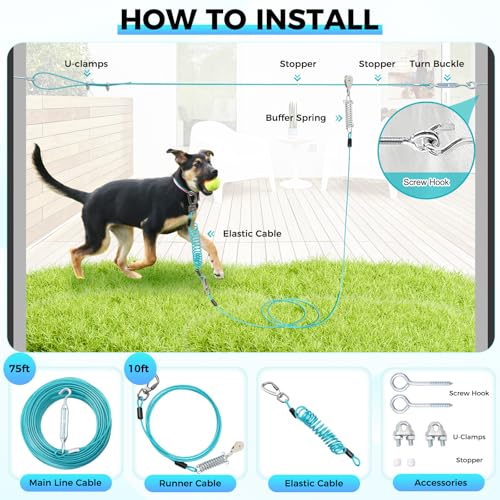 Duckygoo Leash in 75FT+10FT,250LBS, Teal